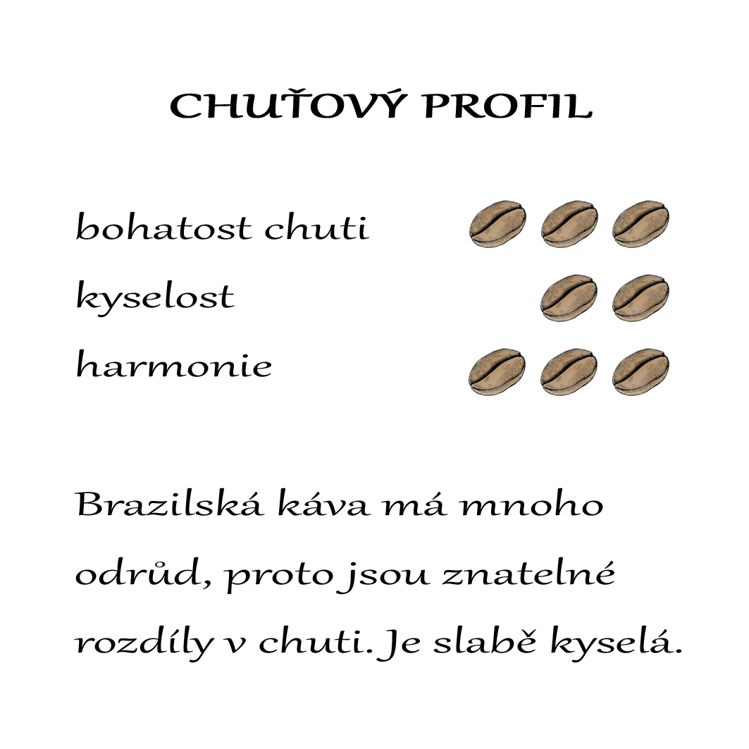 BRASIL SANTOS "BARBOSA GOLD"