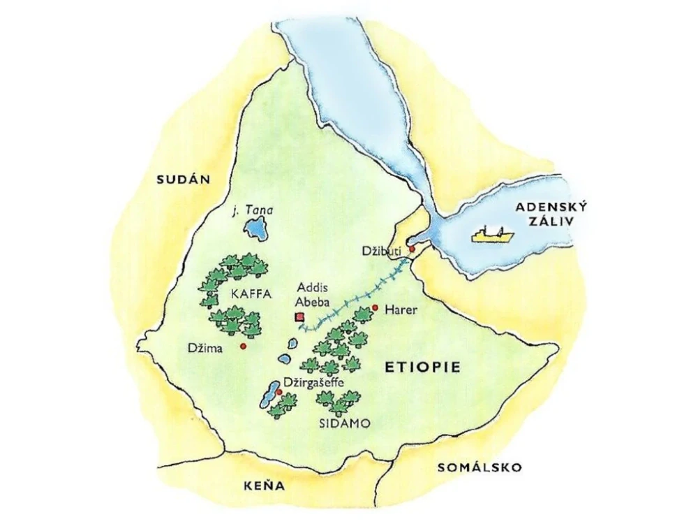 Ethiopia Sidamo 1000g