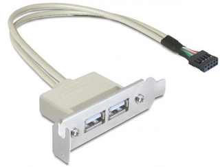 Delock záslepka do slotu USB 2.0 low profile 2 porty