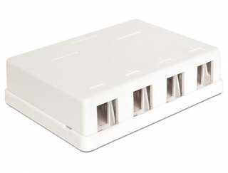 Delock Keystone Box 4-portový, nástěný