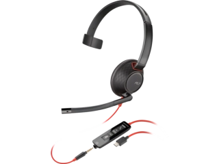 Poly BLACKWIRE 5210, USB-C, USB-C/A